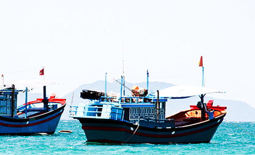 Ngư dân gặp khó vì tàu cá không có giấy đảm bảo an toàn vệ sinh thực phẩm